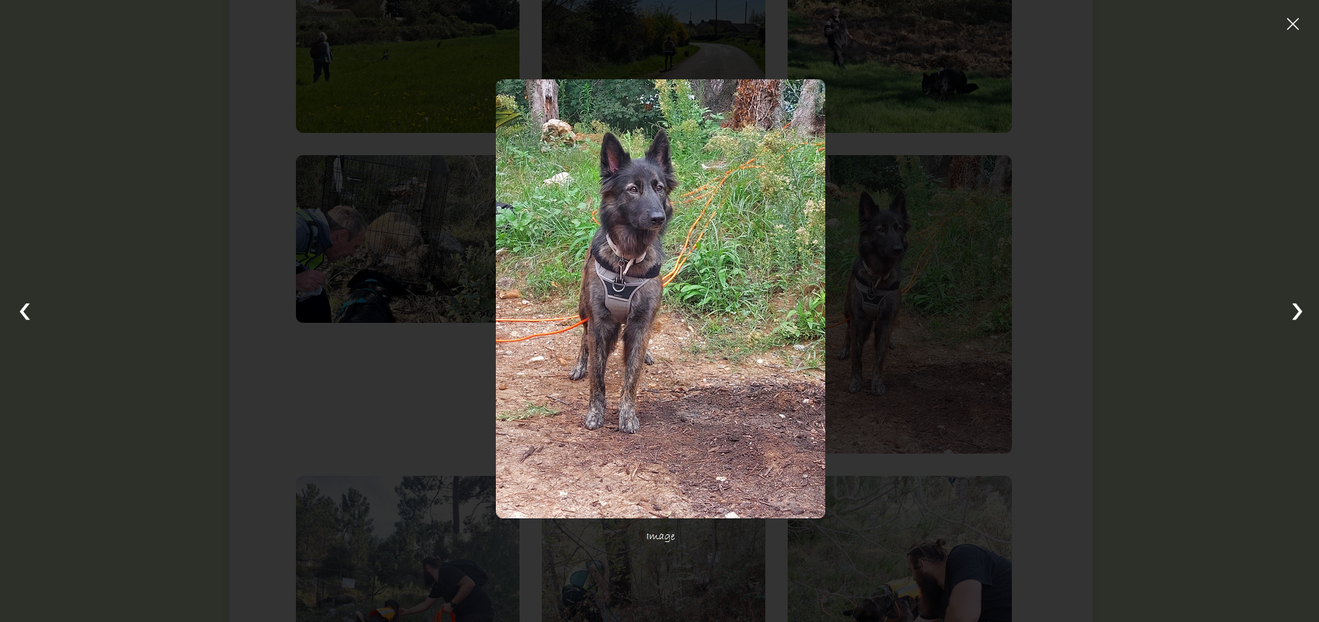 Club canin Embrunez - Galerie photo