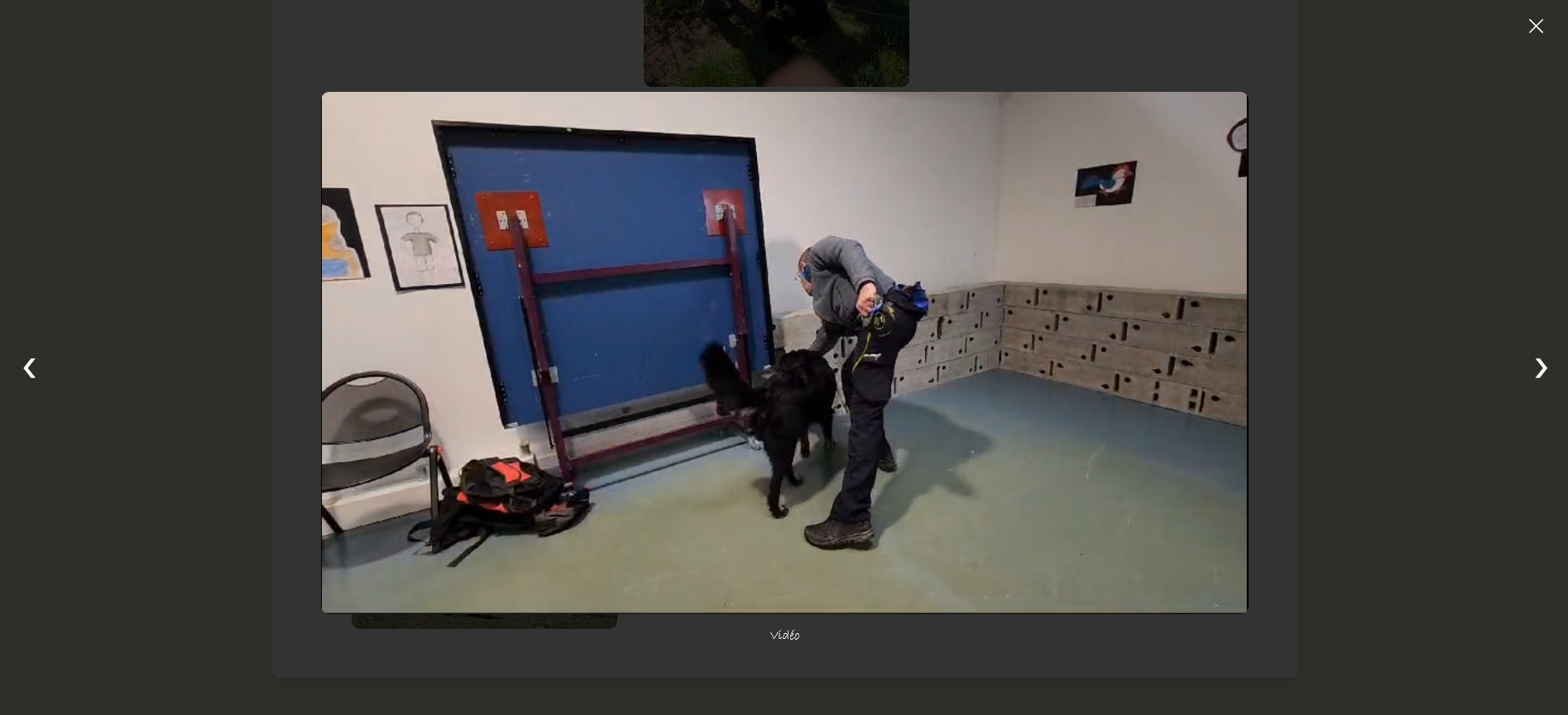 Club canin Embrunez - Visulalisation de vidéos